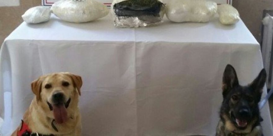 Otobüsün bagajında 3 kilo 745 gram esrar ele geçirildi