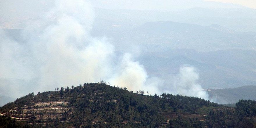 Orman yangını Yayladağı sınırına sıçradı
