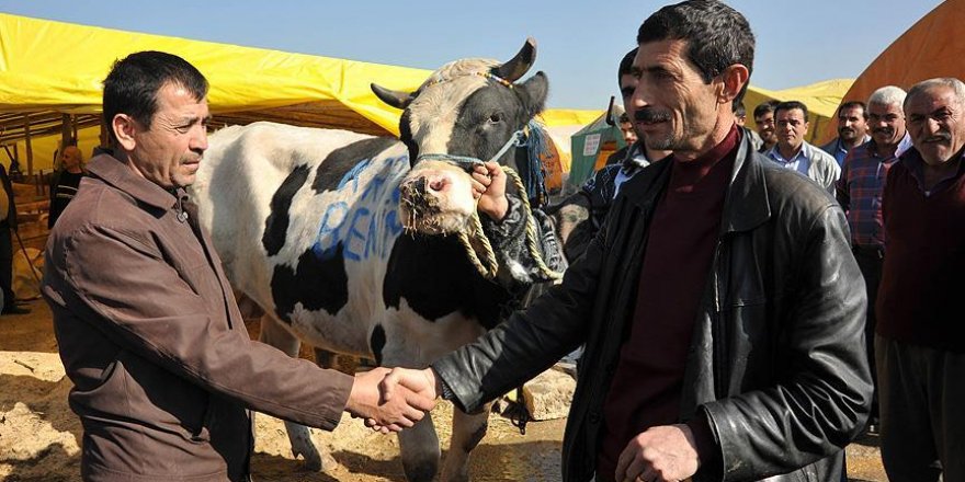 Kurban alırken nelere dikkat etmeli?