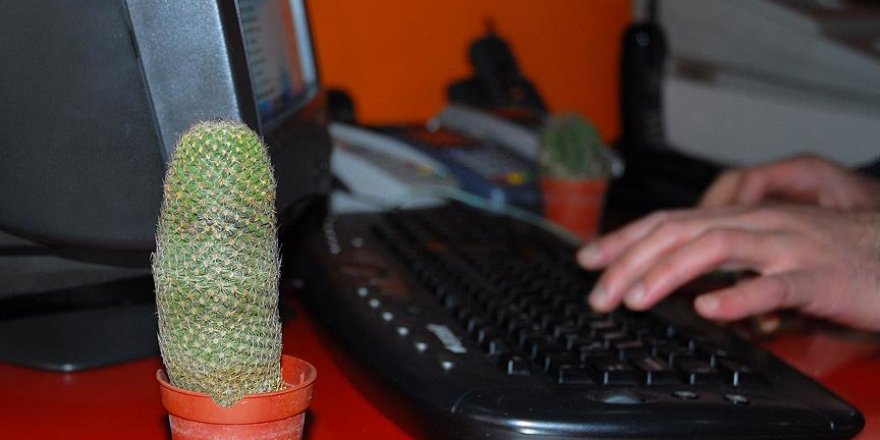 'Kaktüs odayı radyasyondan arındırmaz'