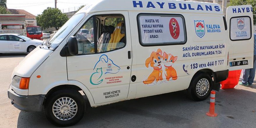Haybulans hizmete girdi