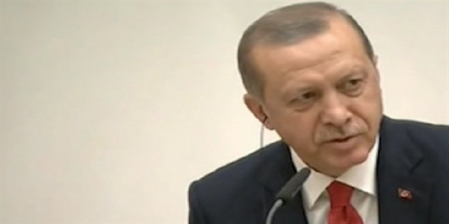 Erdoğan ABD'li gazeteciyi uyardı
