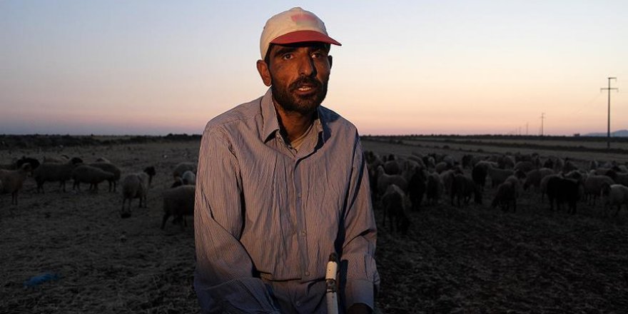 Görme engelli Suriyeli çobanın 'ekmek kavgası'