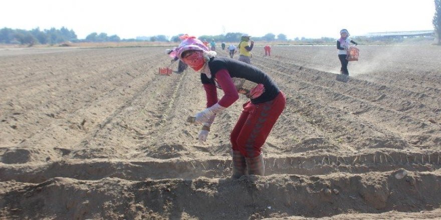 Yolun öteki tarafındaki farklı dünya