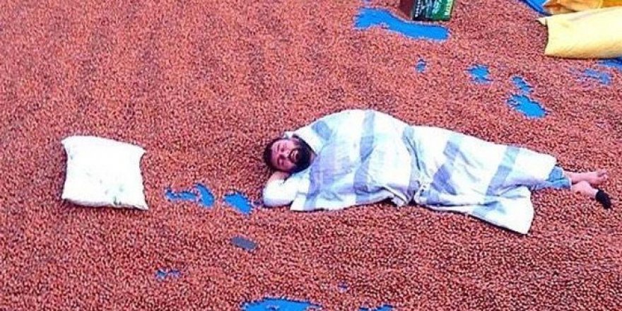 Üretici fındıkla yatıyor fındıkla kalkıyor