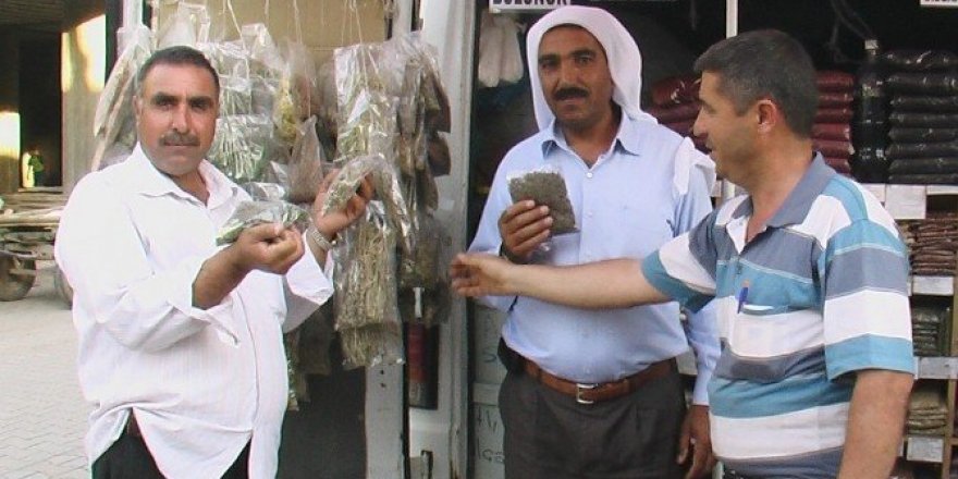Aktarlar zayıflamak isteyenlerin umudu oldu