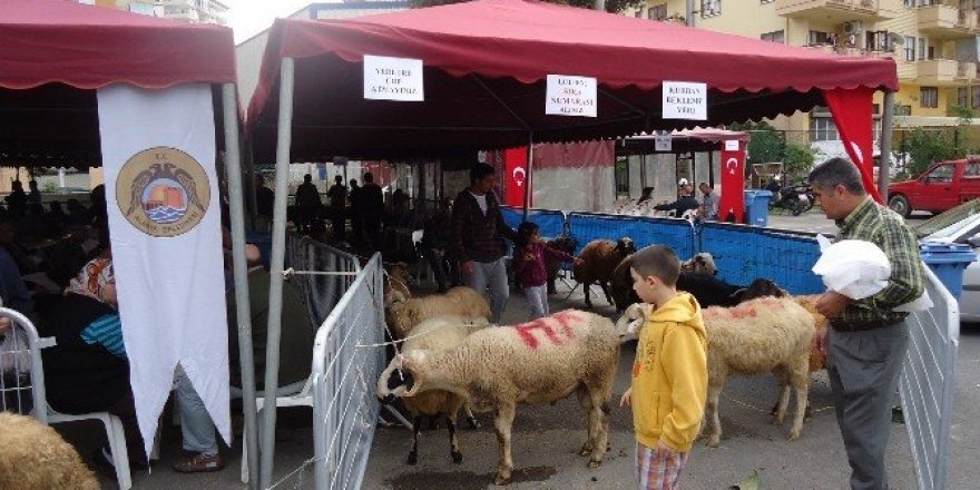 Alanya’da kurban satış yerleri belirlendi