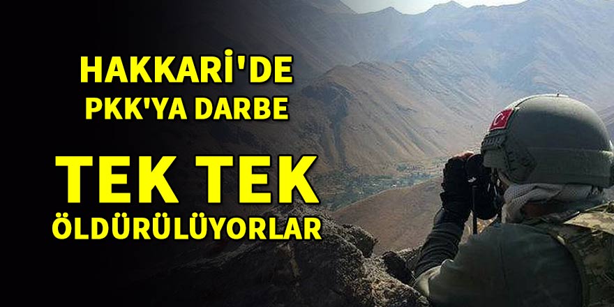 Hakkari'de PKK'ya darbe