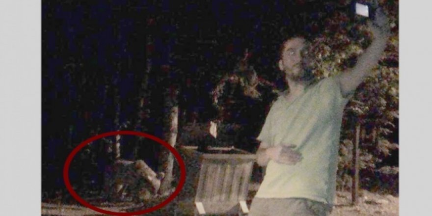 Ormanda ayıyla selfie yaptı