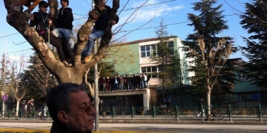 Cezalı taraftarlar maçı ağaç üstünden takip etti