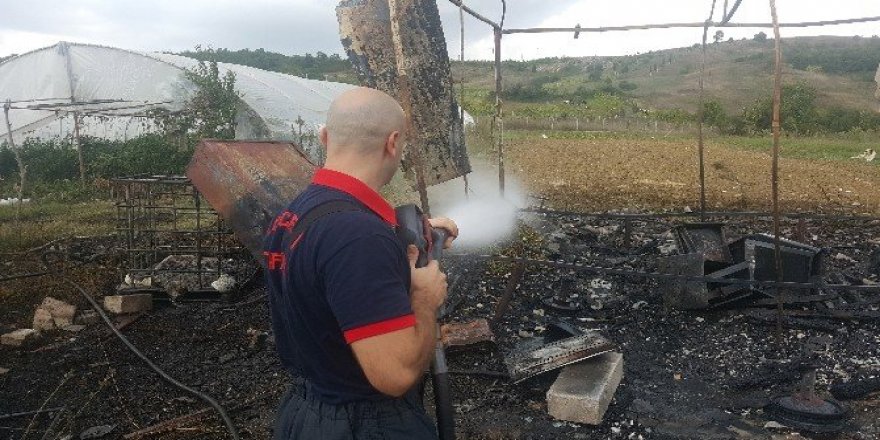 Evlerin arkasındaki serada çıkan yangın korkuttu
