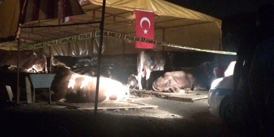 Kurban pazarında silahlı kavga: 3 ölü, 3 yaralı