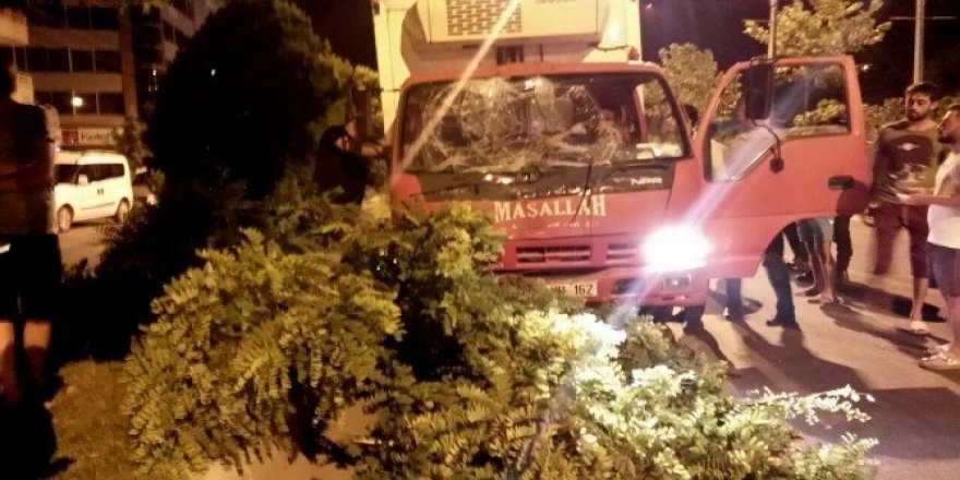 Ağaçlara çarparak durabildi