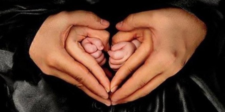 Türkiye’nin yüzde 21’i çocuksuz aile