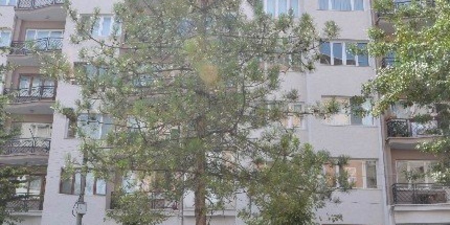 Buzdolabında çıkan yangın korkuttu