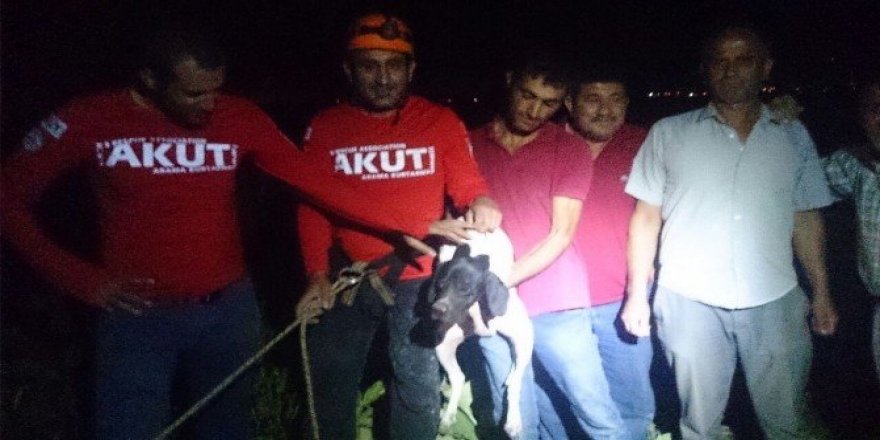 Kuyuya düşen Av köpeğini AKUT kurtardı
