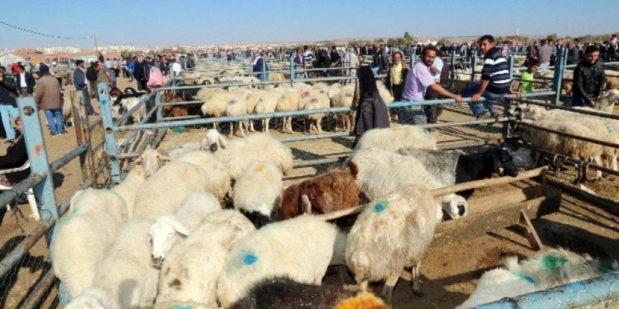 Aksaray’da kurban kesim yerleri belli oldu