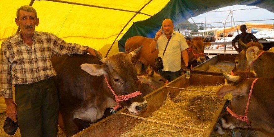 Trabzon’da kurbanlıklar pazara indi