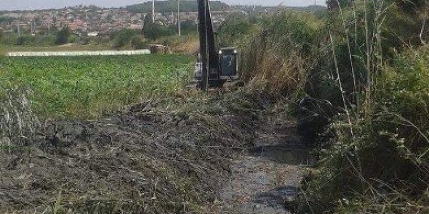 Karakurt Deresi temizlendi