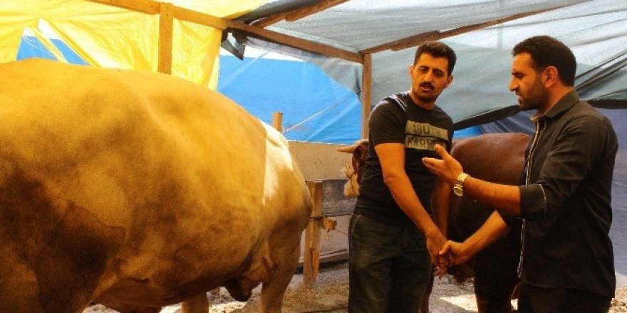 İzmir’de Kurban Bayramı hareketliliği