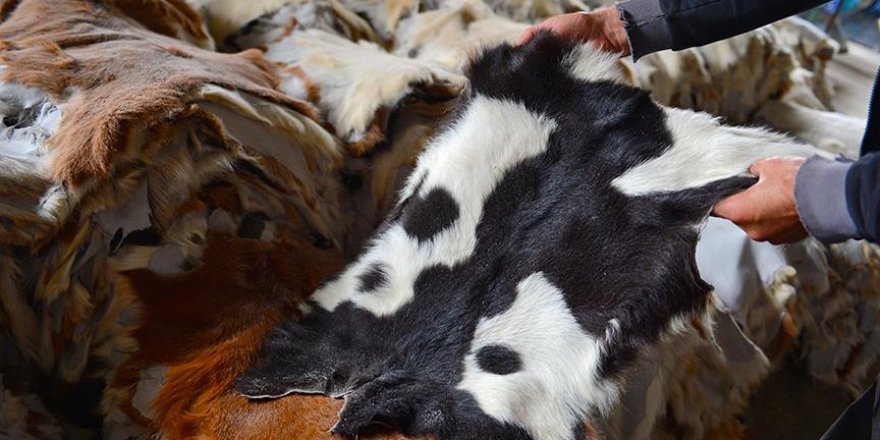 Kurban derileri sektörün yüzde 20'sine ancak yetiyor