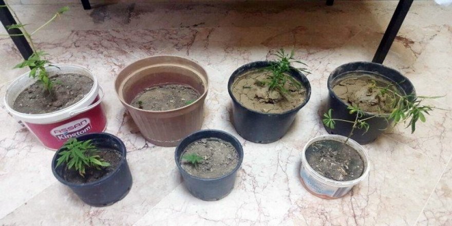 Manavgat’ta uyuşturucu operasyonu