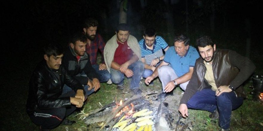 Tarım alanlarına zarar veren domuzlara karşı nöbet başlattılar