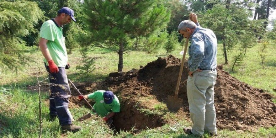 Başiskele’de defin hizmetleri sürüyor