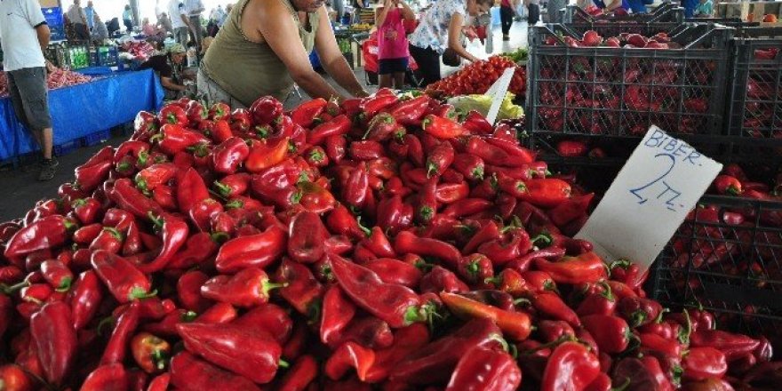 Milas’ta kış hazırlıkları başladı