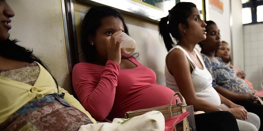 Singapur'da hamilelere Zika uyarısı