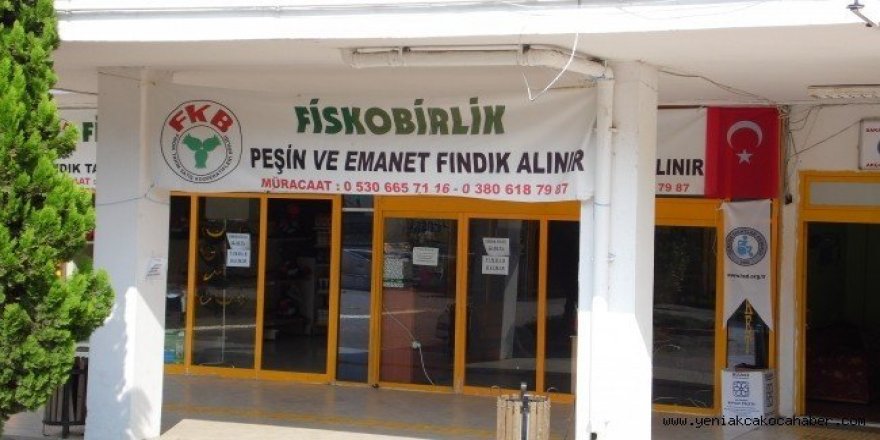 FİSKOBİRLİK Akçakoca’da fındık alımına başladı