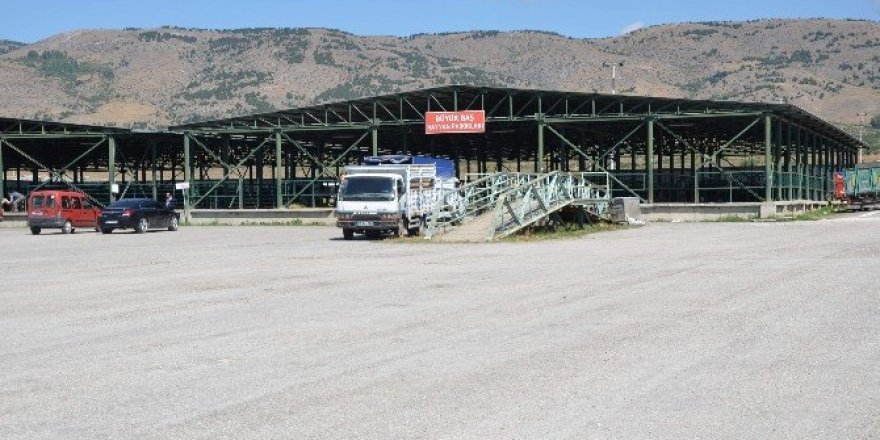Hayvan pazarında henüz beklenen yoğunluk yaşanmıyor