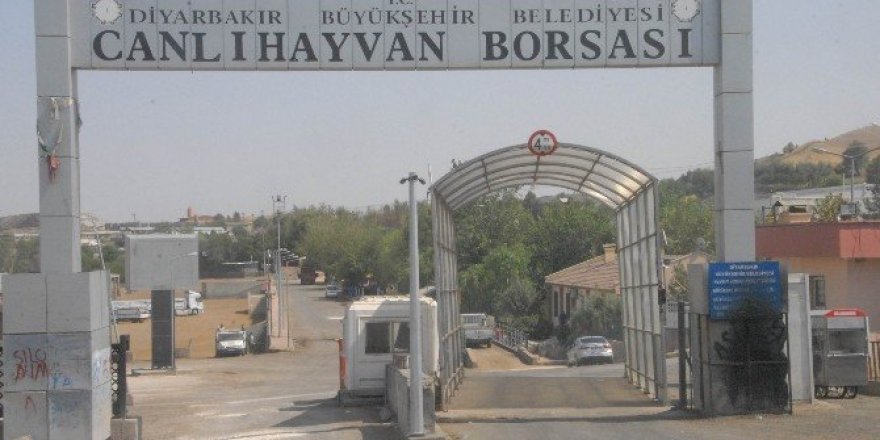 Diyarbakır Hayvan Borsası Kurban Bayramı’na hazırlanıyor
