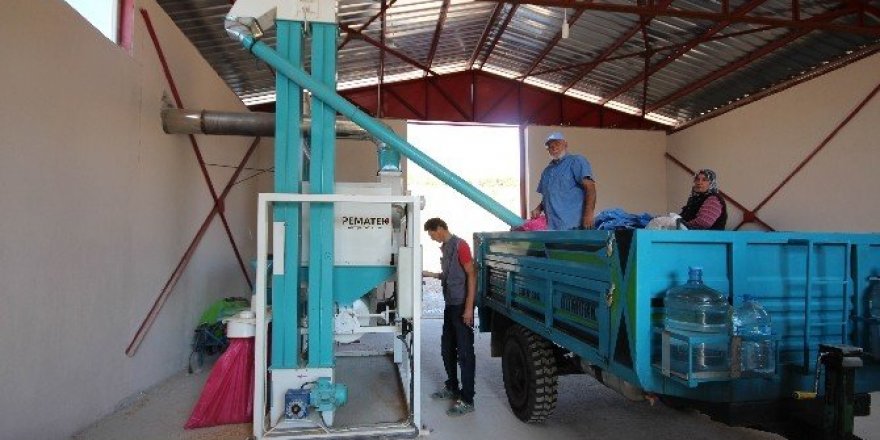 Beyşehir’de tohum eleme tesislerinin sayısı arttı