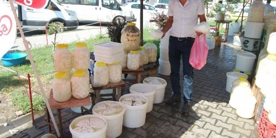Güroymak’ta kışlık peynir satışları başladı