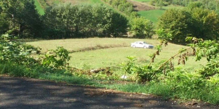 Otomobil tarlaya uçtu, burnu bile kanamadı