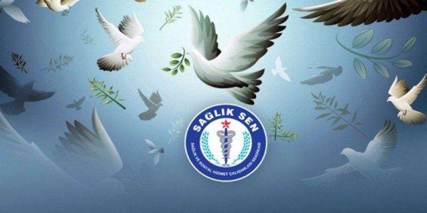 Aydın Sağlık-Sen; “Barış Günü, barış getirsin”