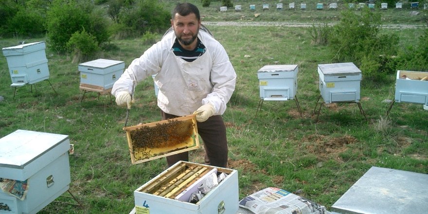 Seydişehir'de bal üretimi düştü