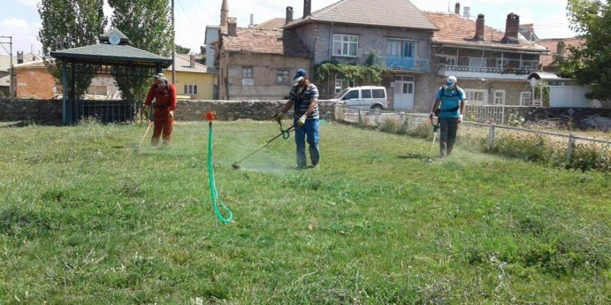 Beyşehir’in yeşil alanları yabani otlardan arındırılıyor