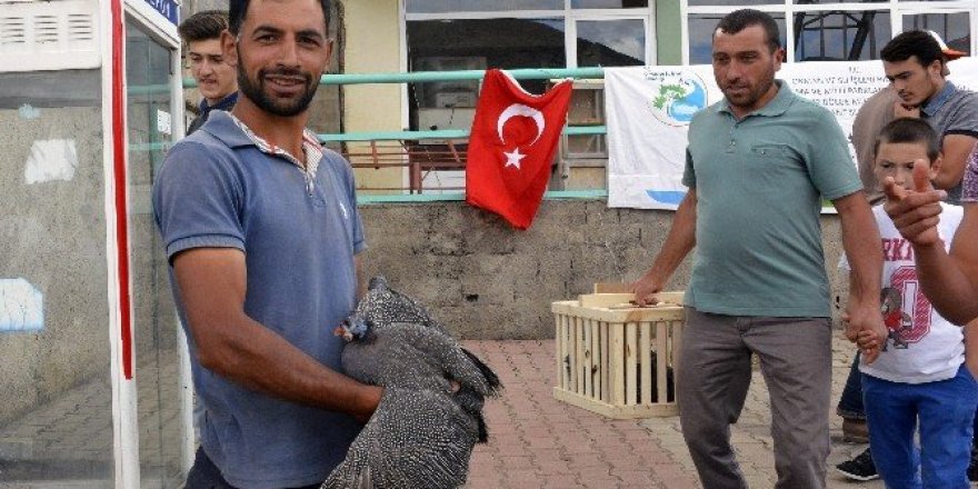 Gümüşhane’de beç tavuğu dağıtımı devam ediyor