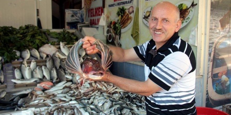 Balıkçılar yeni sezondan umutlu