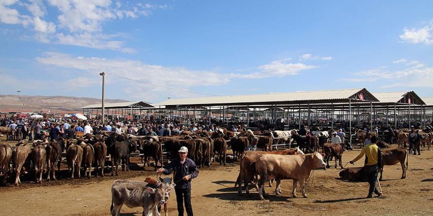 Kurban pazarları hareketlendi