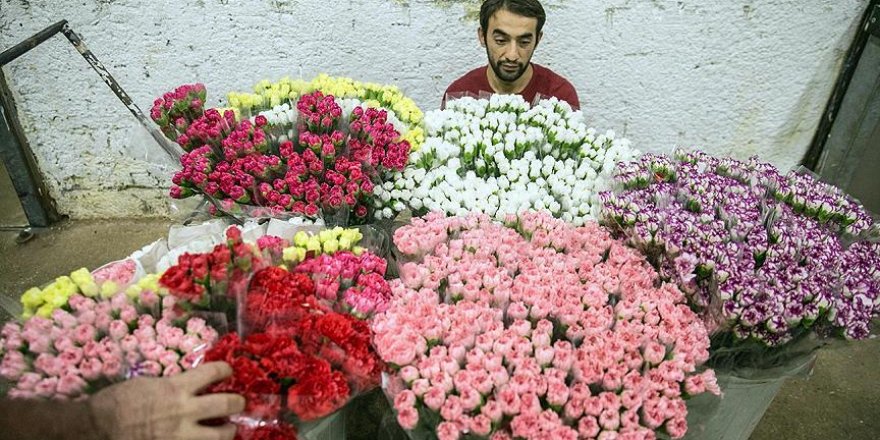 Türkiye'nin çiçekleri dünyayı süslüyor