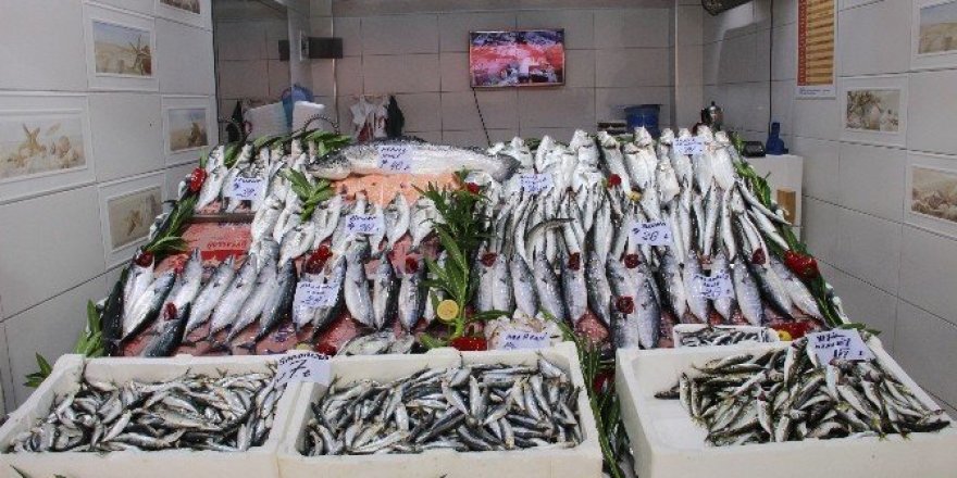 Balıkçıların umudu bayram sonrası