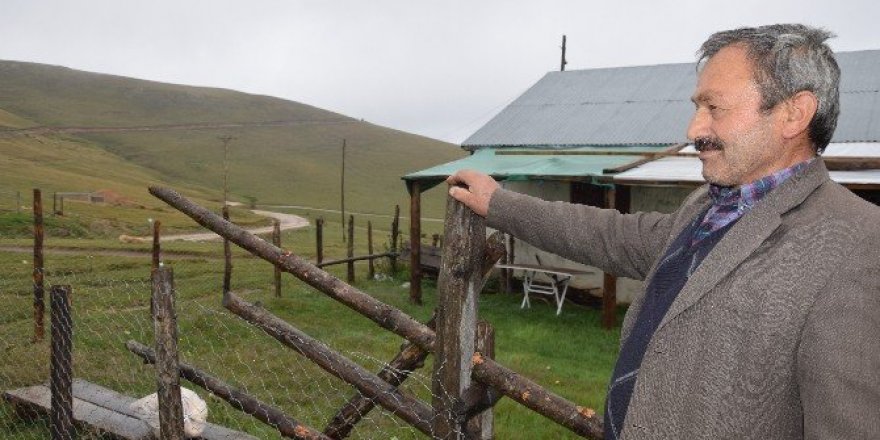 Karadeniz yaylalarında pazar ve göçebelik hayatı sürdürülüyor