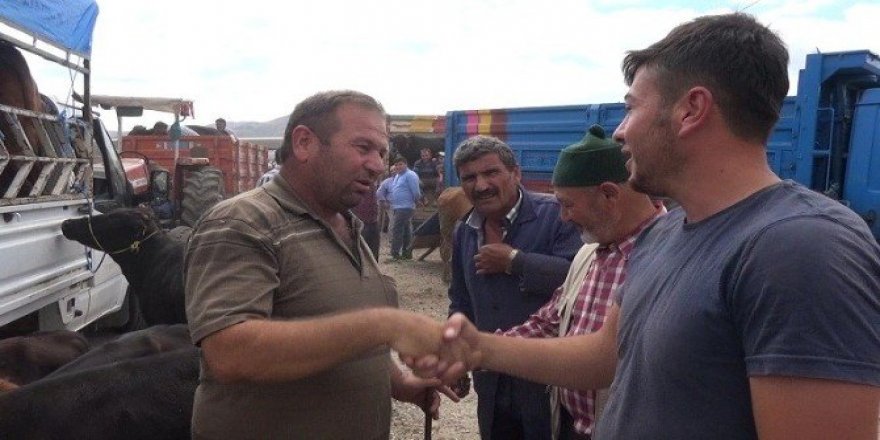 Sungurlu hayvan pazarında bayram hareketliliği