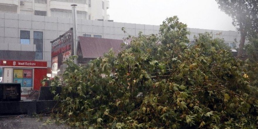 Fırtınada 43 hatta elektrik kesintisi yaşandı