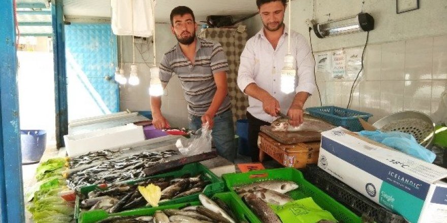 Hisarcık’ta balıklar tezgahtaki yerini aldı