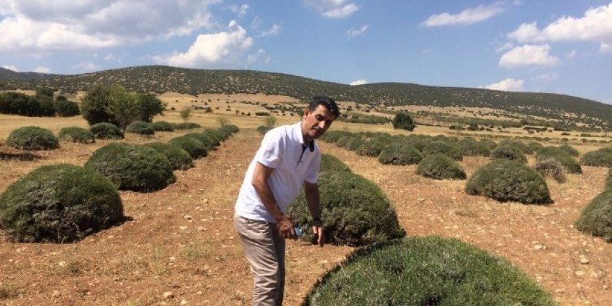 Büyükşehir’den çiftçilere destek