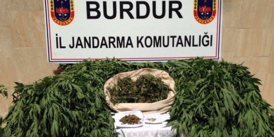 KOM’dan ’torbacı’ operasyonu